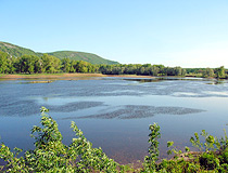 Bashkortostan landscape