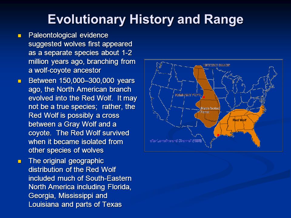 Evolutionary History and Range