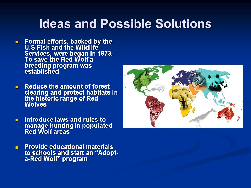 Ideas and Possible Solutions