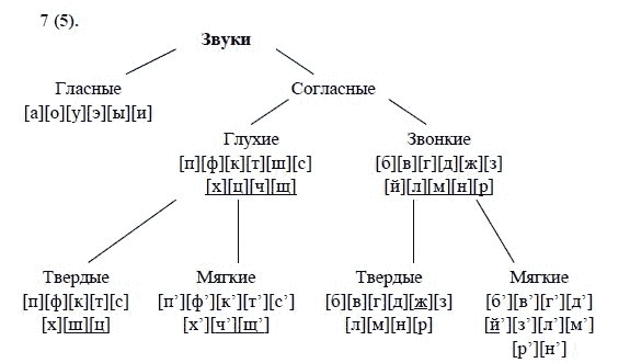 Схемы по русскому языку 8 класс