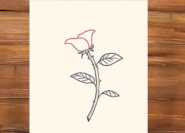 Как нарисовать розу со стеблем - Нарисуйте пару лепестков из центра розы.
