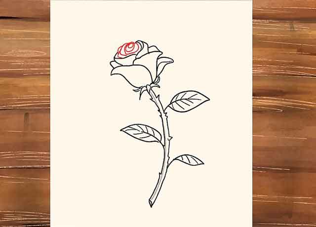 Как нарисовать розу со стеблем - Нарисуйте сердцевину розы.