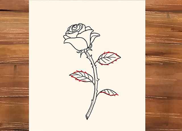 Как нарисовать розу со стеблем - Детализируйте листья нарисовав на них острые края.