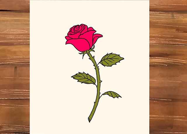 Как нарисовать розу со стеблем - Сотрите все ненужные вспомогательный линии эскиза, а потом раскрасьте розу и листья.