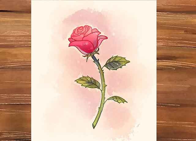 Как нарисовать розу со стеблем - Используйте оттенки на фоне и тени, чтобы украсить наш рисунок розы.