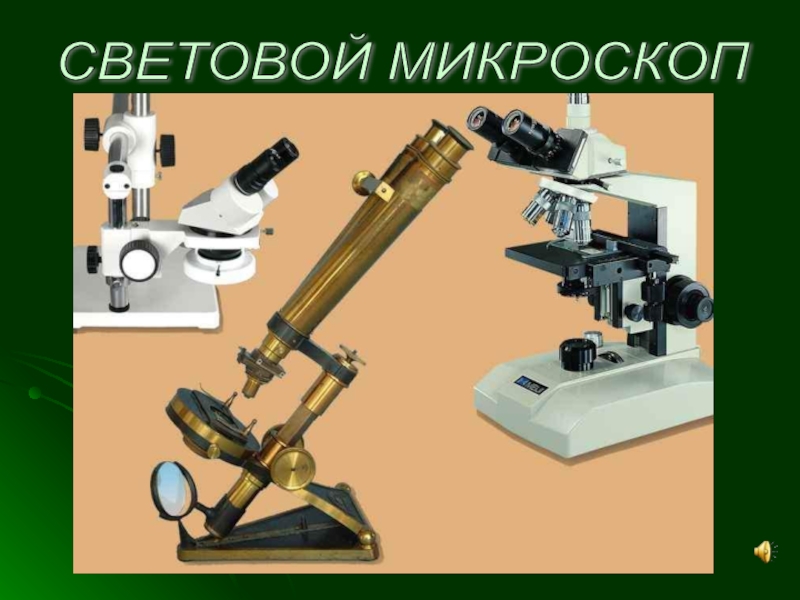 Виды микроскопов. 350 НМ световой микроскоп. Что такое Призма в световом микроскопе. Лупа микроскоп 5g5e. Световой микроскоп сбоку медовед.