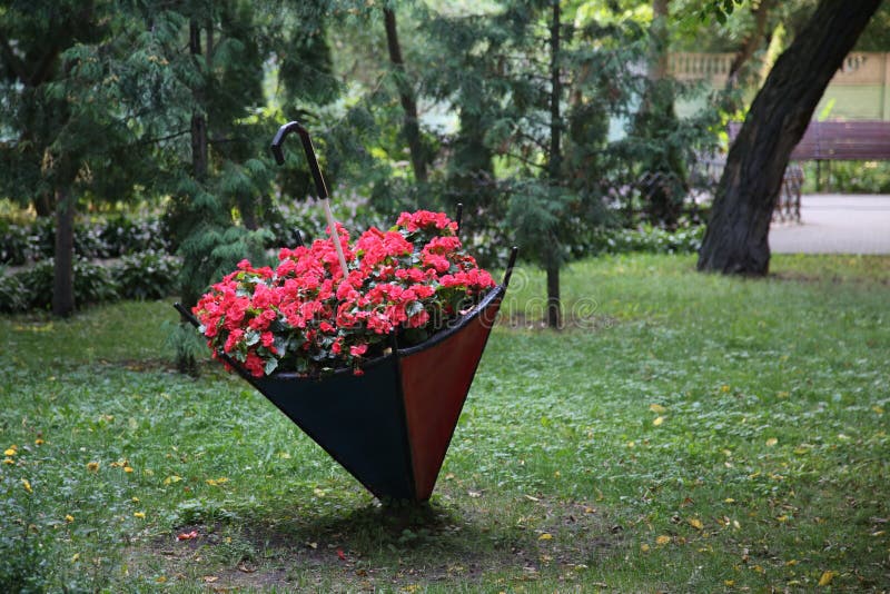 A flower bed of red flowers of unusual shape. Flower bed in the form of an umbrella.  stock photography