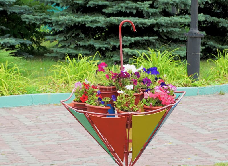 An original flowerbed in the form of an inverted umbrella in a recreation park. An unusual option for placing flowers stock image