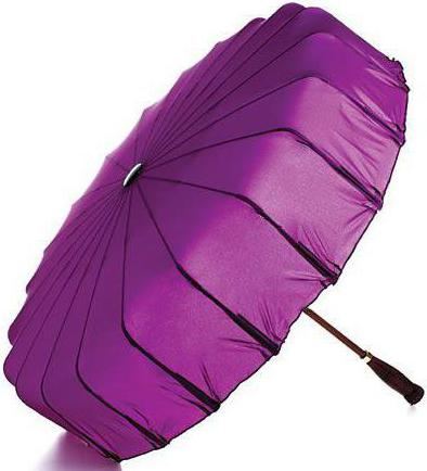 unusual umbrellas photo