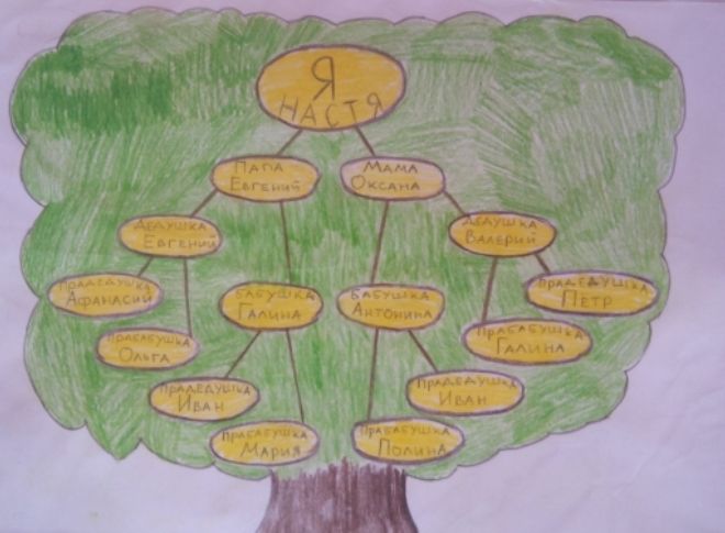 Как нарисовать семейное дерево в школу13