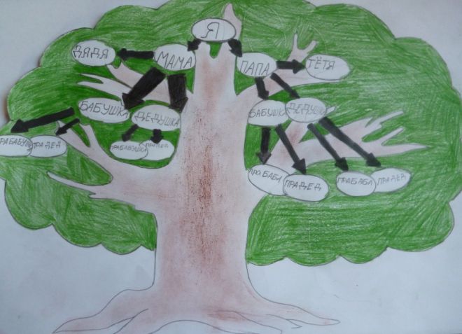 Как нарисовать семейное дерево в школу10
