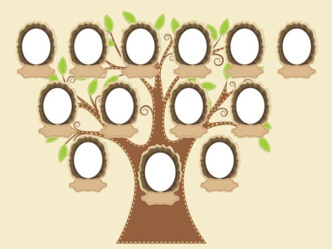 Как нарисовать семейное дерево в школу11