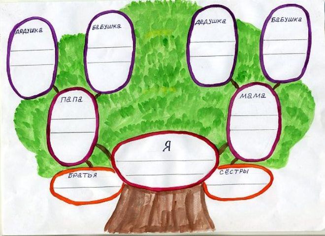 Как нарисовать семейное дерево в школу12