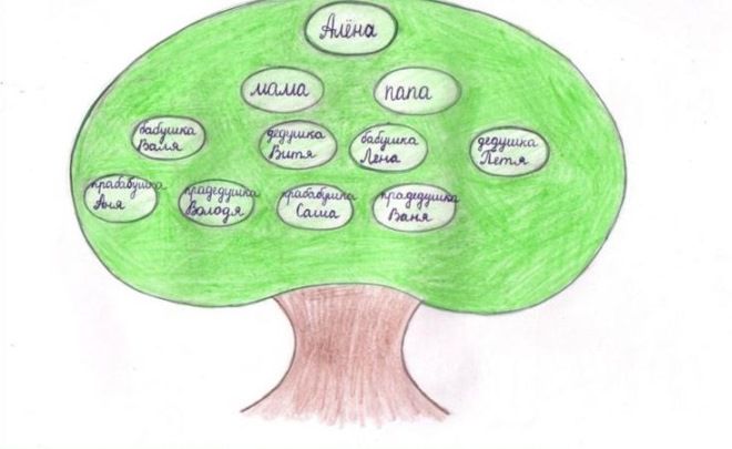 Как нарисовать семейное дерево в школу14