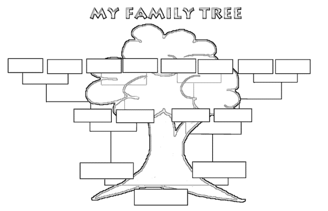 Как нарисовать семейное дерево в школу16