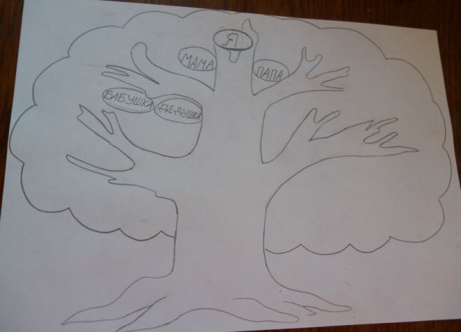 Как нарисовать семейное дерево в школу5