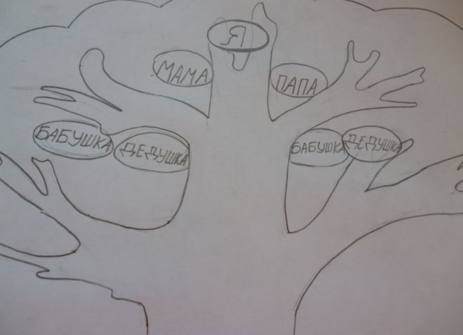 Как нарисовать семейное дерево в школу6