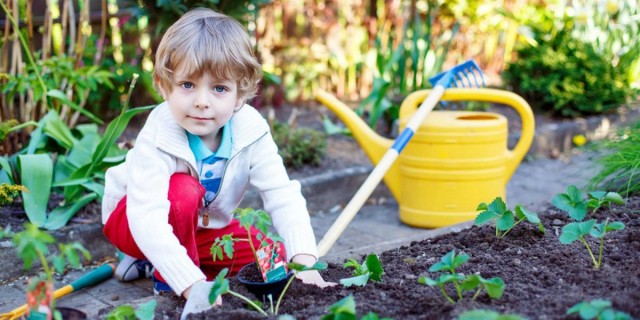Лучшее решение для детской клумбы - растения, которые имеют вкусные плоды