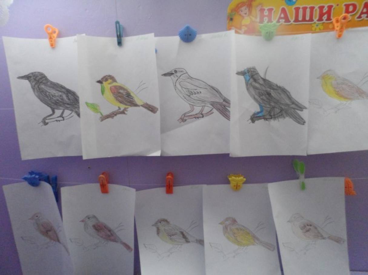 Тема пернатые друзья средняя группа. Рисование во второй младшей группе на тему перелетные птицы. Рисование в средней группе. Рисование птицы в средней группе. Рисование перелетные птицы 2 младшая группа.
