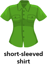 illustration of a short-sleeved shirt
