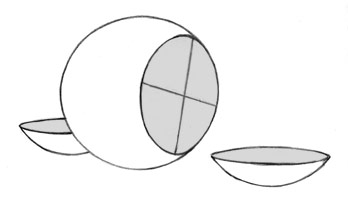 Drawing the side plane of the head