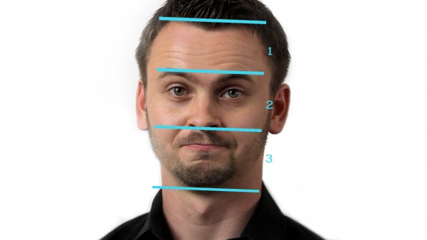 sections of the head portrait drawing